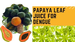 Papaya Leaf Juice For Dengue #dengue #health #medicine