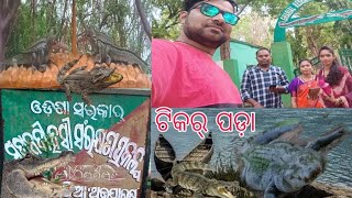 ଟିକର ପଡ଼ା ଜଙ୍ଗଲ ବାଟ ରେ କେତେ ଅସୁବିଧା ହେଲା 😭 priya Sunil Vlog