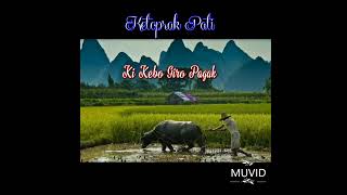 Ketoprak Pati Ki Kebo Giro Pagak@wongagungchannel7103#ketoprak#dagelan#budaya#hihuran#srikencono