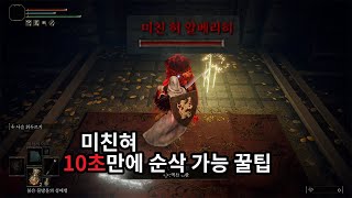 엘든링 암령 10초만에 잡는 방법 [엘든링/ELDEN RING]