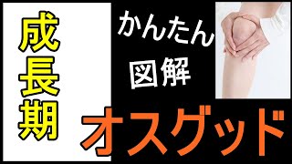 オスグッドの原因と症状は？　岐阜の鍼灸接骨院