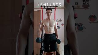 57세 처음 중량조끼 20kg 풀업7회//10kg 덤벨 이두 삼두 상체운동