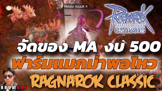 Ragnarok Classic MA งบ500 บาท ฟาร์มแมกม่าได้ (จัดงบพื้นฐานมากที่สุดของสายนี้)