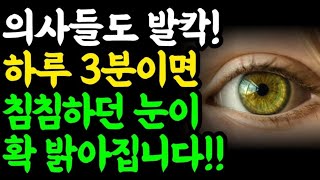 전세계를 발칵 뒤집은 기막힌 눈 건강법!! / 이것을 매일 먹으면 침침하던 눈이 확 밝아집니다!! / 책읽어주는여자 / 오디오북 / 건강정보 / 건강 / 노안