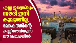 എണ്ണ ഇല്ലെങ്കിലും സൗദി ഇനി കുലുങ്ങില്ല,ലോകത്തിന്റെ കണ്ണ് സൗദിയുടെ ഈ മേഖലയില്‍| Saudi Arabian Economy