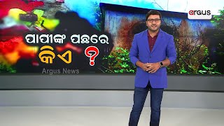 Big Breaking :ପାପୀଙ୍କ ପଛରେ କିଏ ?