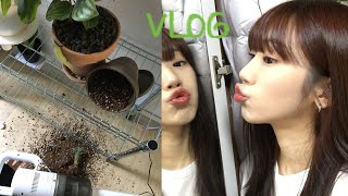 VLOG. 우당탕탕 굴러가는 자취생의 하루 | 카메라 고장나고 화분 쏟고 염병 | 고대 도서관도 가보고 혼영도 했다 ~ | 2일 밀착(?) 브이로그