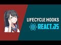 React Component Lifecycle Hooks / Methods