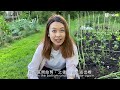 vlog咪｜【eng subtitle】再訪bath＊移英50年港人：我以為香港一直存在 19年令我覺醒＊好戥年青人難過 要幫佢哋＊英丈夫：太太重新思考港人身份 我最遺憾廣東話唔好