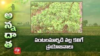 పంటల మార్పిడి వల్ల కలిగే ప్రయోజనాలు | Benefits of Crop rotation | ETV Telugu