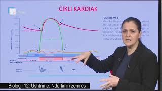 Biologji 12 - Ushtrime. Ndërtimi i zemrës.