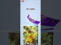 毎日ポケポケパック開封6日目 ポケポケ ポケモンカード ポケモンバトルbgm ポケモンbgm ポケモン ポケモカード ポケットカード pokemon もういいよ