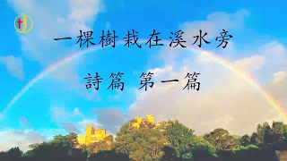 鄺景運牧師｜一棵樹栽在溪水旁｜詩篇 第一篇