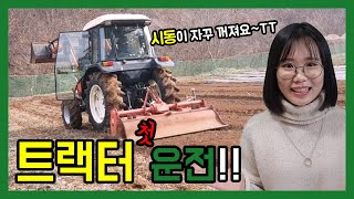 트랙터로 밭을 갈아보았습니다 / 봄 밭 준비하기