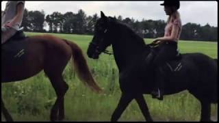 Het hart van Drenthe - hogenboom vakantiepark - wandeling rond het park (2015)