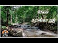 சேலம் To சரபங்கா நதி டேனிஷ்பேட்டை  |Salem to Sarabonga river denishpet travel video