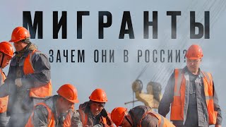 МИФЫ о МИГРАЦИИ: нам не нужны мигранты / Роман Юнеман