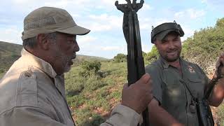 Free range Blue wildebeest hunt