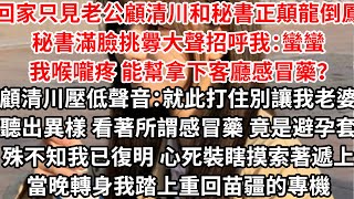 回家只見老公顧清川和秘書正顛龍倒鳳，她滿臉挑釁大聲招呼我：蠻蠻，我喉嚨疼能幫拿客廳感冒藥？顧清川壓低聲音：就此打住別讓我老婆聽出異樣看著所謂感冒藥 竟是避孕套，殊不知我已復明 心死裝瞎摸索著遞上盒子