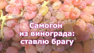 Самогон из винограда - ставлю брагу