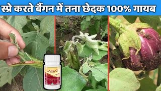 बैंगन में तना छेदक फल छेदक का 100% रामबाण उपाय // How to Control Fruit \u0026 Stem Borer in Brinjal