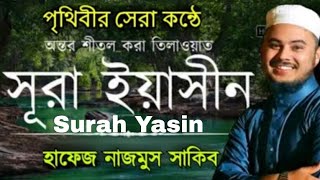 সূরা ইয়াছিন বিশ্বজয়ী হাফেজ নাজমুস সাকিবের কন্ঠে বাংলা অনুবাদ সহ Surah Yasin | Hafiz Nazmus Sakib