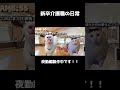 新卒介護職の日常【猫ミーム】 猫ミーム 猫マニ shorts