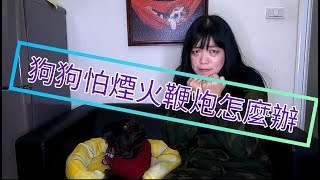 狗狗怕煙火鞭炮怎麼辦！？ | Happy\u0026小愛