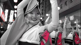 経堂まつり 2019　阿波踊り　流し踊り 全連