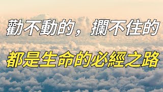 弘一法師：勸不動的，攔不住的，都是生命的必經之路。【凈思】#為人處世#佛學#因果#中老年#放下#情感#生活經驗