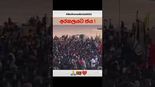 නන් දෙසින් කොළඹට පැමිනෙන ජනතාව in sri lanka  🥵 / Protestors occupy presidents house in sri lanka 🇱🇰