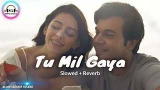 Tu Mil Gaya (Slowed x Reverb)| Srikanth | Rajkummar Rao, Alaya | Jubin Nautiyal | Lofi Songs Studio
