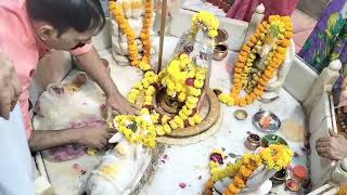 Shri Chintaharan Mahadev | Sudh Jal Snan | Shringar | Bhog | Arti | 18.11.2024