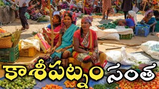 కాశీపట్నం వారపు సంత | Kaasipatnam tribal Market | Tribal weekly market | Santha #kasipatnam #market