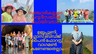 ഉളുപ്പുണി,പൈൻ ഫോറസ്റ്റ്,ഗ്ലാസ് ബ്രിഡ്ജ്..,വാഗമൺ സഞ്ചാരിയുടെ പറുദീസ/Vagamon Part 2/Saji'sHomecafe/