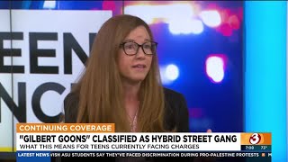 Legal expert weighs in on gang classification for Gilbert Goons