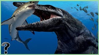 What If Tylosaurus Didn't Go Extinct?