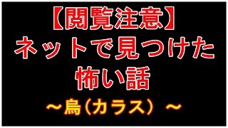 【閲覧注意】ネットで見つけた怖い話～烏（カラス）～