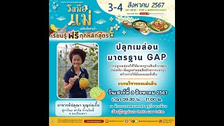 Live วิชาของแผ่นดินออนไลน์ | ปลูกเมล่อนมาตรฐาน GAP