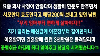 [실화사연]    [사이다사연] 월급 속이고 시모한테 죄다 퍼준 남편 [라디오드라마실화사연]#사이다사연 #시어머니 #반전사연