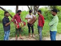 A stranger took my heart dholak harmonium with 4 singers 🤗🤗🙏🎹🎧🎤🎵