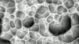 Variance-based reaction-diffusion process (variant 1) [Visual coding experiment]