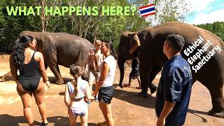 We Spent A Day At Krabi Ethical Elephant Sanctuary 🇹🇭