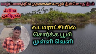 முள்ளி வெளி ( வடமராட்சியில் சொர்க்க பூமி ) Jaffna தமிழன்/ S.P.SEELAN