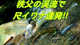 渓流ルアーで行こう!!　秩父で大イワナが連発 渓流釣り　Japanese mountain stream