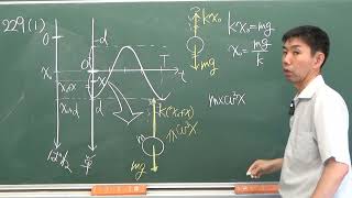 【セミナー物理基礎＋物理】基本問題２２９解説（鉛直ばね振り子）