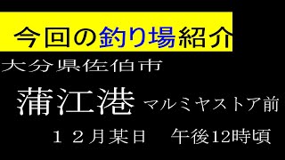 大分県佐伯市　蒲江港マルミヤストア横