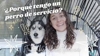 ¿PORQUE TENGO UN PERRO DE SERVICIO? || Contesto Preguntas Acerca de Mi Perrita Husky de Servicio