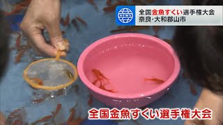 「金魚めっちゃ元気」３分間で何匹すくえるかを競う『全国金魚すくい選手権大会』に約１７００人が参加　奈良・大和郡山市（2024年8月19日）