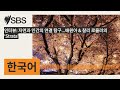 인터뷰 자연과 인간의 연결 탐구...배원아 u0026 찰리 로울러의 ‘strata’ sbs korean sbs 한국어 프로그램